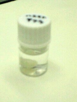 Photo_2